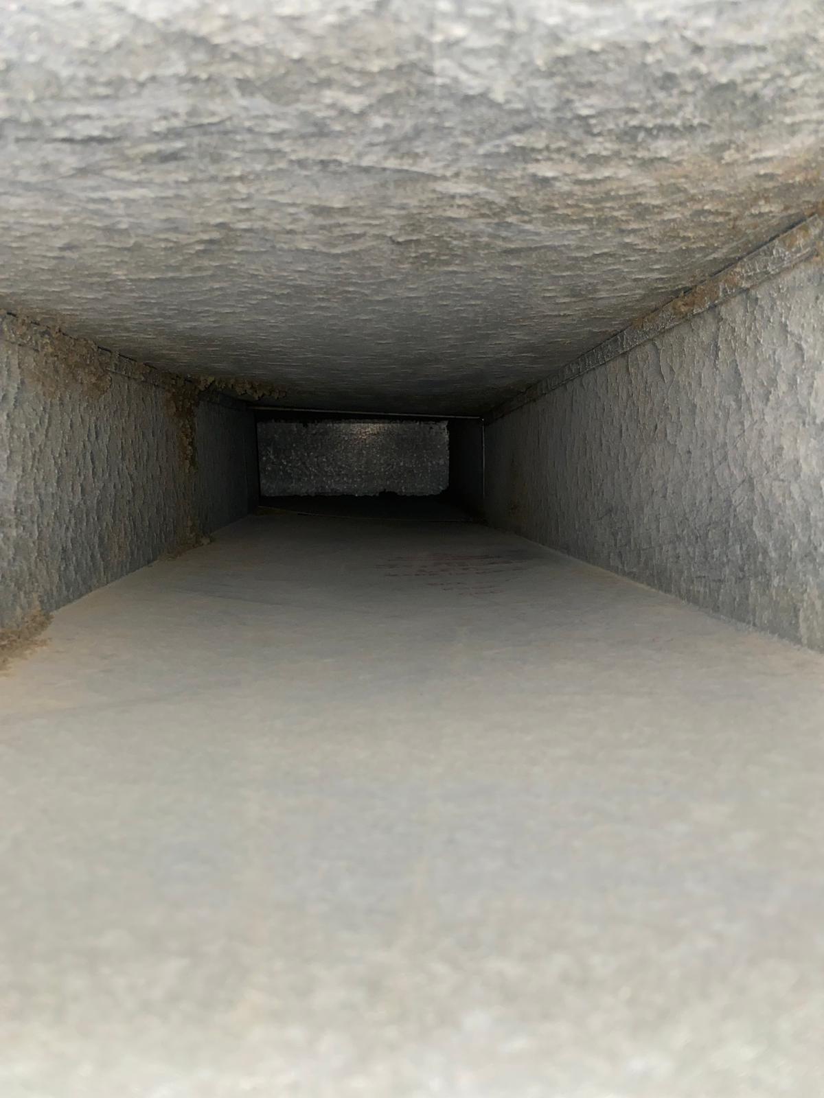 Professional duct service